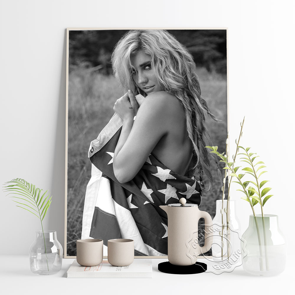 America Popular Music Singer K - Vintage Collectible Posters reseña y precio