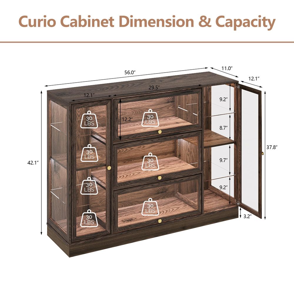 Cabinet with Acrylic Glass Doo - Collectible Collection reseña y precio