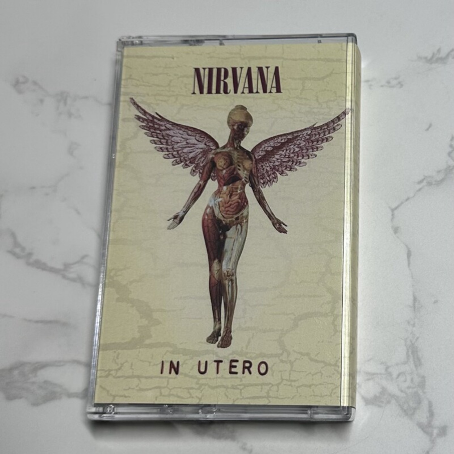 Nirvana Complete Album Collect - Vintage Collection reseña y precio